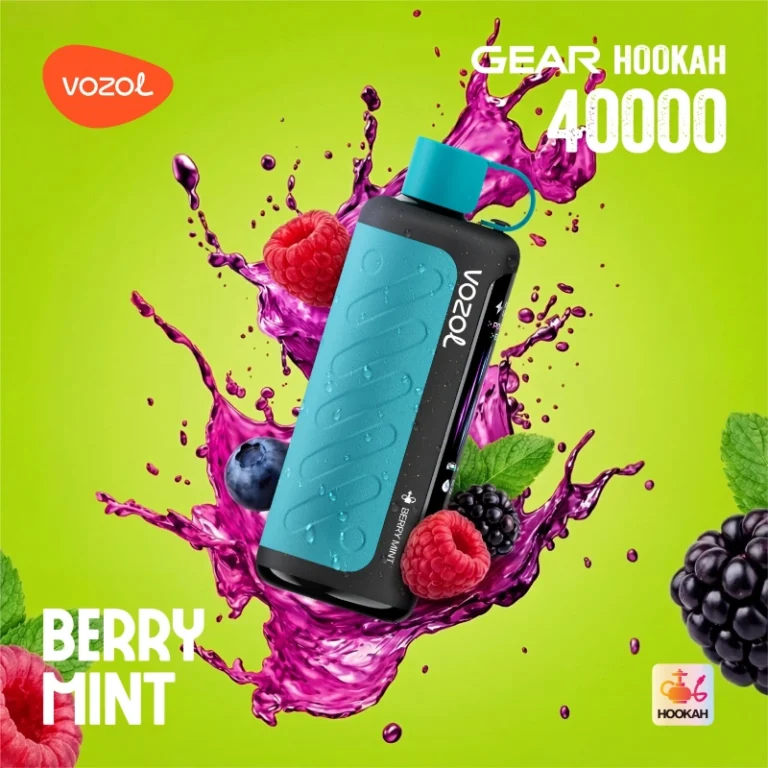 Vozol Hookah 40000 Berry Mint
